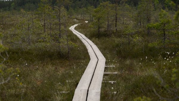Kuidas luua tervislikku igapäevast rutiini